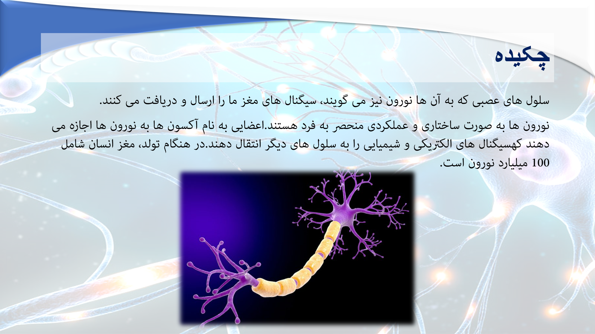 پاورپوینت در مورد سلول های عصبی 